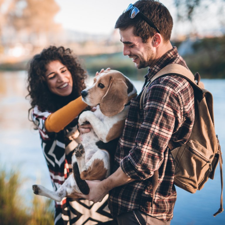 Vivre avec un animal de compagnie rend plus heureux ses propriétaires, voici pourquoi