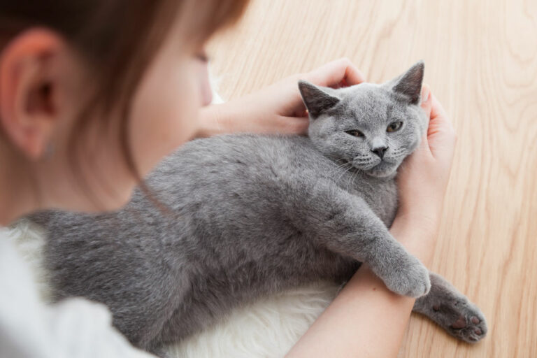 Elle découvre son cancer… grâce à son chat