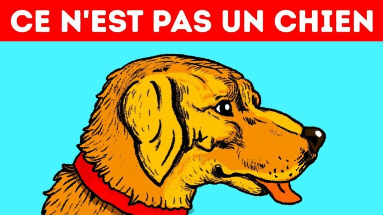 11 illusions d’optique à couper le souffle. Testez-vous !