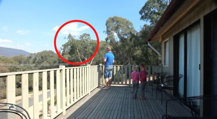 La maman filme le papa et ses filles sur le balcon. Quelque chose de FABULEUX va arriver