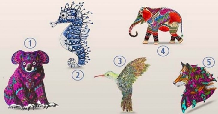 Regardez ces animaux et choisissez celui qui vous attire le plus : découvrez ce qu’il dit sur votre personnalité