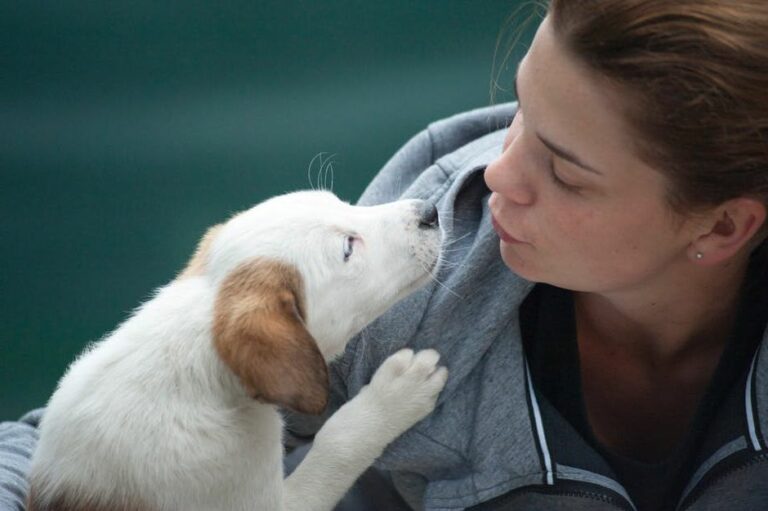 Voilà pourquoi il vaut mieux ne PAS tomber amoureux d’une femme qui aime les chiens