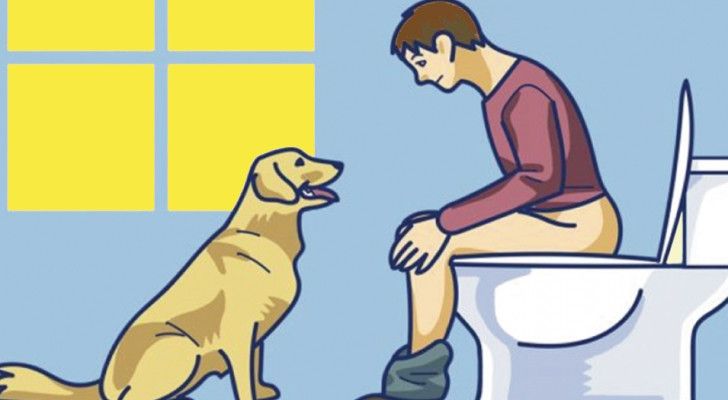 Votre chien vous suit partout, même aux toilettes ? Voici ce que cela signifie