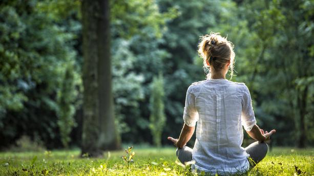 20 minutes par jour dans la nature réduiraient les hormones du stress