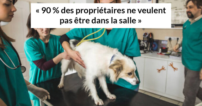 Des vétérinaires ont révélé ce que font les animaux juste avant de mourir