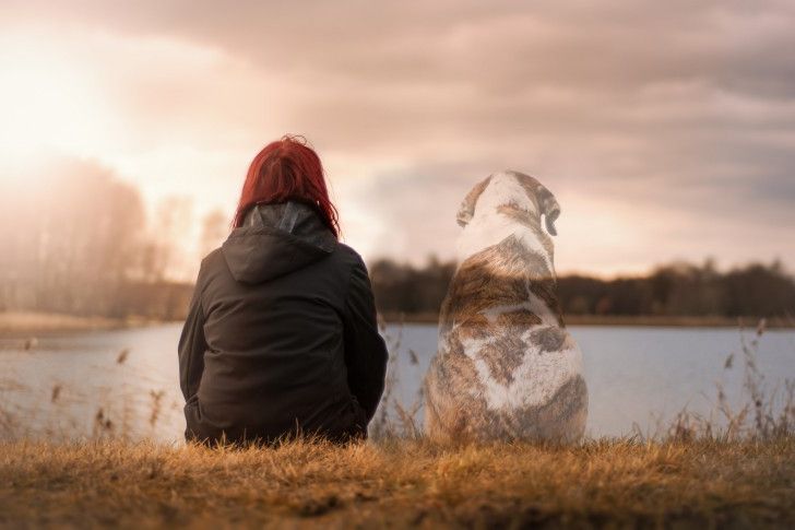 Perdre un ami à quatre pattes peut être aussi grave que perdre un être cher