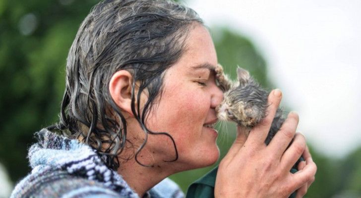 Vous ne croirez jamais ce que cette femme a fait pour sauver un chaton…