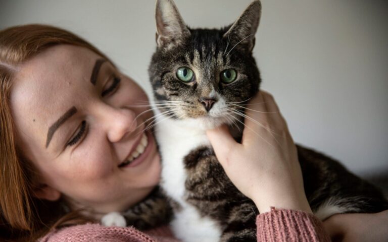 Aux yeux des chats, les humains sont comme leurs parents selon une étude