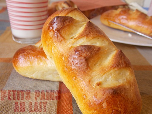 Recette de petits pains au lait maison