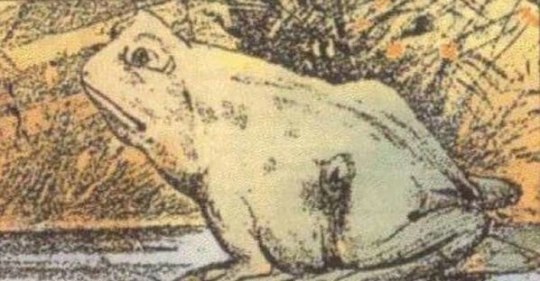 Il paraît qu’un cheval se cache quelque part dans cette image – pouvez-vous le trouver?