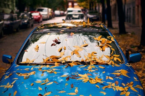 Batterie, entretien… 6 conseils pour protéger votre voiture durant le confinement