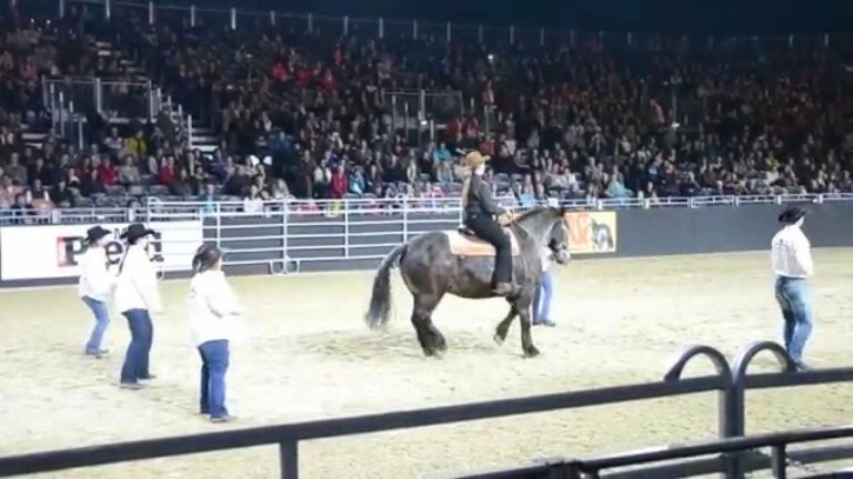 La chanson préférée du cheval commence : la réaction de l’animal déclenche les applaudissements de la foule