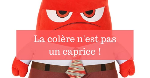 La colère n’est pas un caprice !