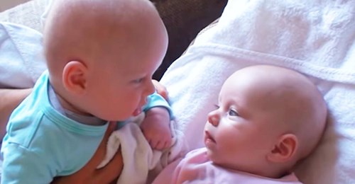 Des jumeaux ont leur première conversation et leur adorable vidéo remporte un large succès