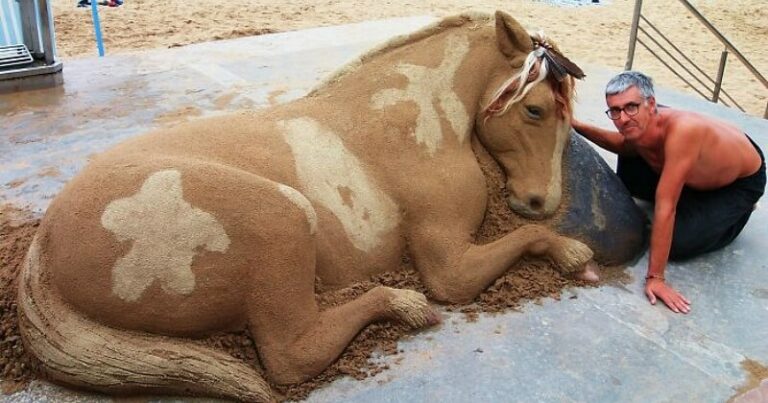 Ce sculpteur sur sable impressionne avec des œuvres très réalistes