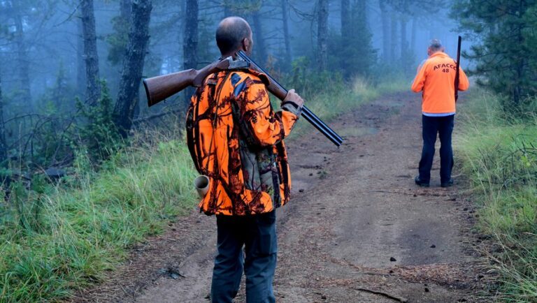 Pendant le confinement, les chasseurs pourront bénéficier de dérogations