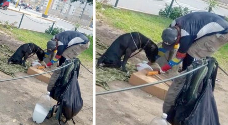 Un sans-abri s’occupe d’un chien handicapé : il le nourrit et le considère comme « son bébé »