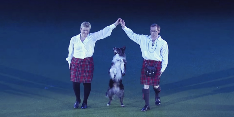 Ce chien vole la vedette au Crufts avec une performance de danse inoubliable !