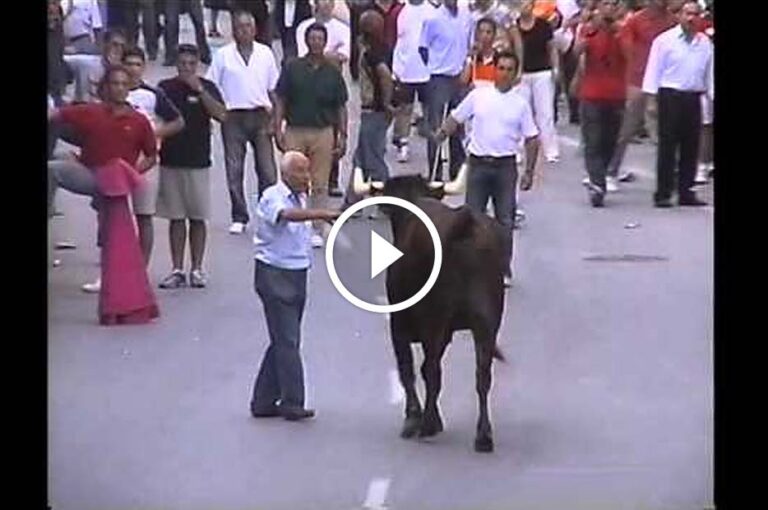 Ce Taureau de Feria se calme d’un coup en apercevant un vieux monsieur