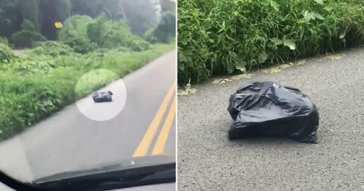 Elle voit un sac poubelle « marcher » sur la route. Elle s’en approche et l’ouvre…