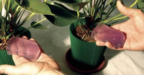 Fabriquez votre gel d’arrosage pour vos plantes, utile en cas d’absence