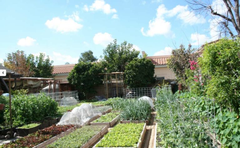 Une famille fait pousser 3 tonnes de nourriture bio par an dans son jardin