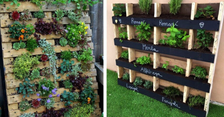 Pour réussir son jardin vertical avec une palette de bois, il ne faut pas faire ces erreurs…