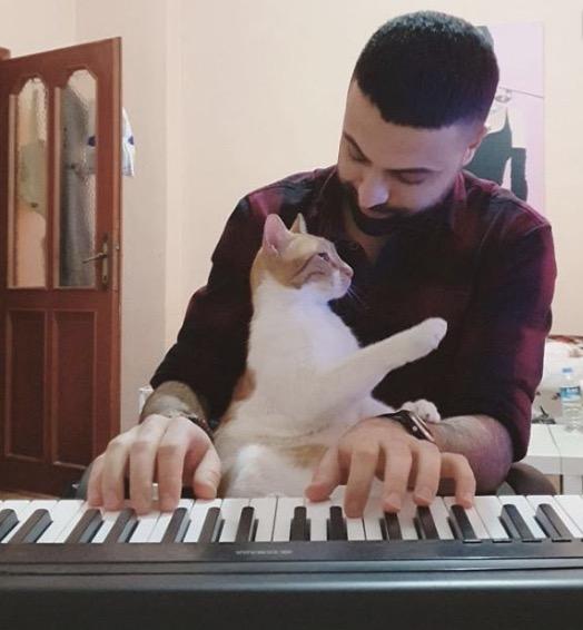 Cet homme joue du piano pour apaiser les chats et ça marche !