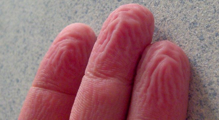 Pourquoi les mains se fripent-elles dans l’eau ? La réponse scientifique