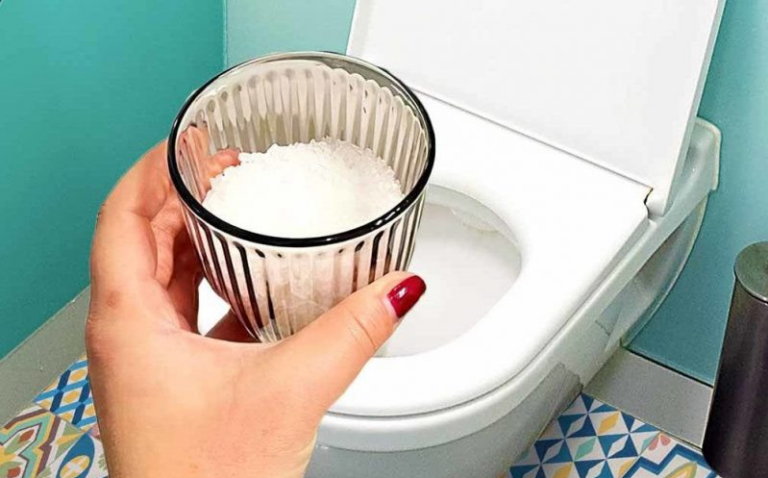 1 verre de sel suffit pour résoudre les 8 plus grands problèmes de la maison