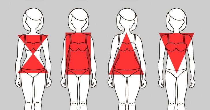 Les principaux types de graisse et de leurs zones de corps (et ce que cela signifie) ?