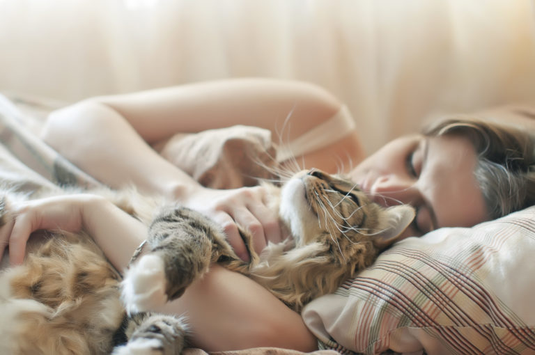 Pourquoi mon chat dort avec moi ? – 5 raisons que vous allez adorer !