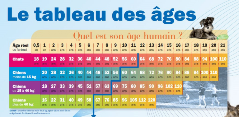 Comment calculer l’âge de mon chat ou mon chien en âge humain ?