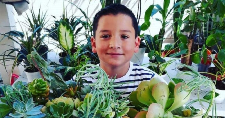 Un enfant de 8 ans crée une entreprise de plantes avec les 12 dollars