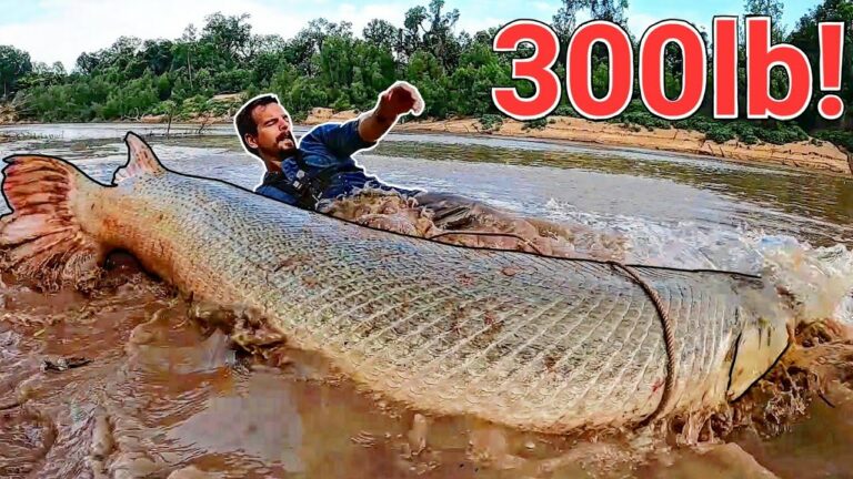 Il pêche un brochet crocodile de 135 kg, un monstre aquatique d’un autre temps