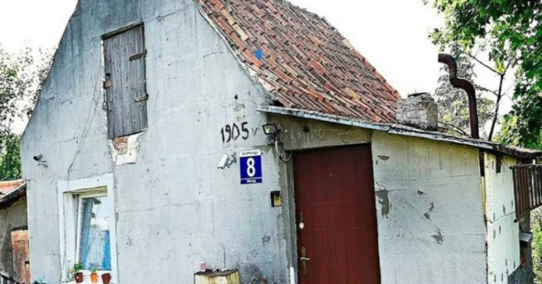 Une mère célibataire de nombreux enfants vivait dans une maison délabrée avec des enfants, les voisins ont aidé à faire des réparations 