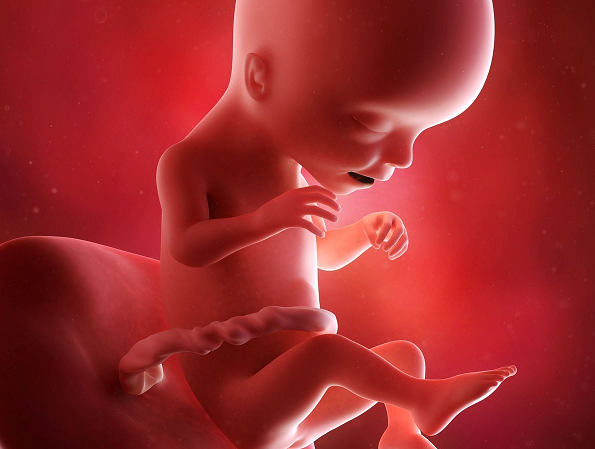 8 choses méconnues que fait bébé dans le ventre !