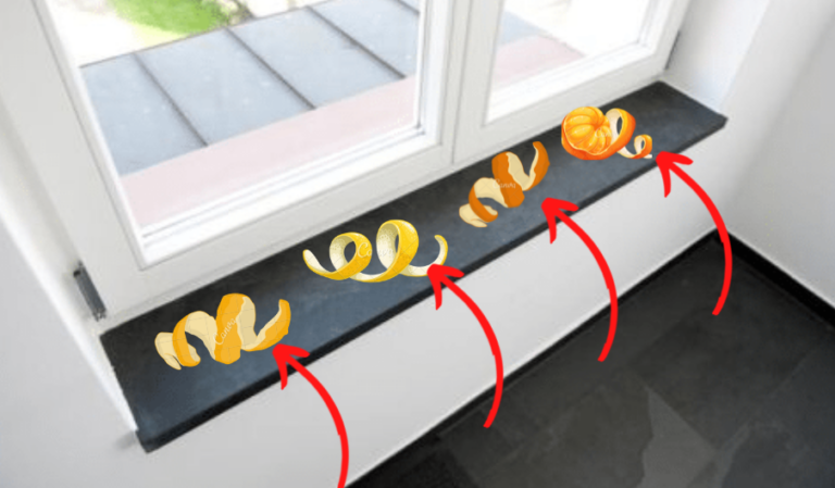 Une Astuce Rafraîchissante : Ne jetez plus les pelures de clémentines, mettez-les sur le rebords de la fenêtres
