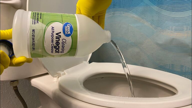 Une astuce simple pour enlever le calcaire du fond des toilettes sans trop d’effort