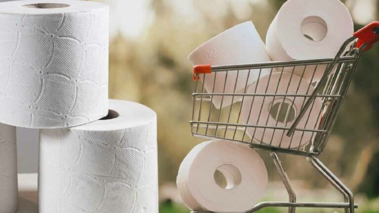 Papier toilette : sa date d’arrêt est proche, voici ce qui va le remplacer