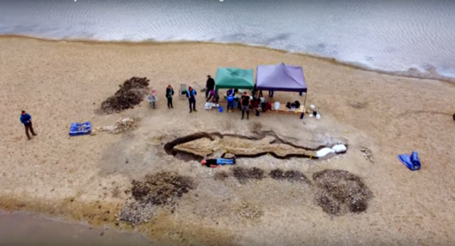 Le fossile d’un “dragon des mers” de 10 m de long refait surface au Royaume-Uni