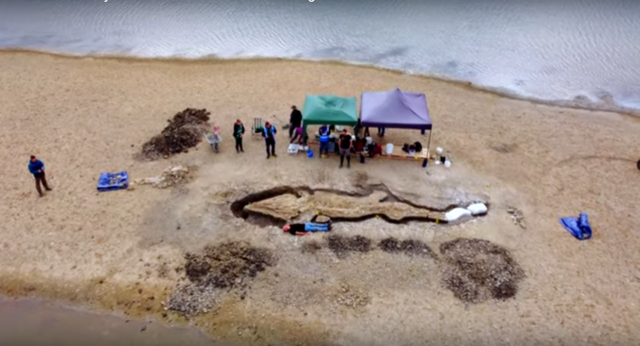 Le fossile d’un « dragon des mers » de 10 m de long refait surface au Royaume-Uni