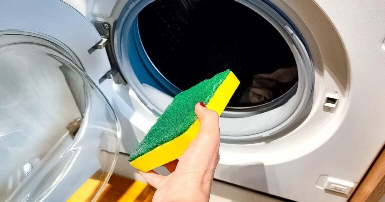 L’astuce de l’éponge : une méthode méconnue pour conserver la machine à laver comme neuve