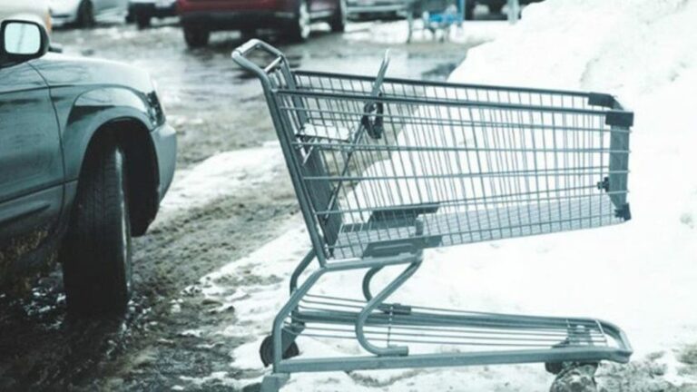 Les personnes qui remettent leur caddie à sa place ont un profil psychologique bien distinct