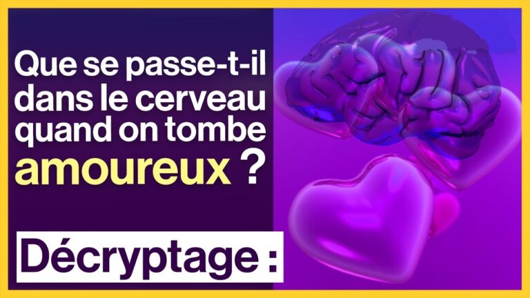 Qu’est-ce qui se passe dans le cerveau quand on tombe amoureux ?