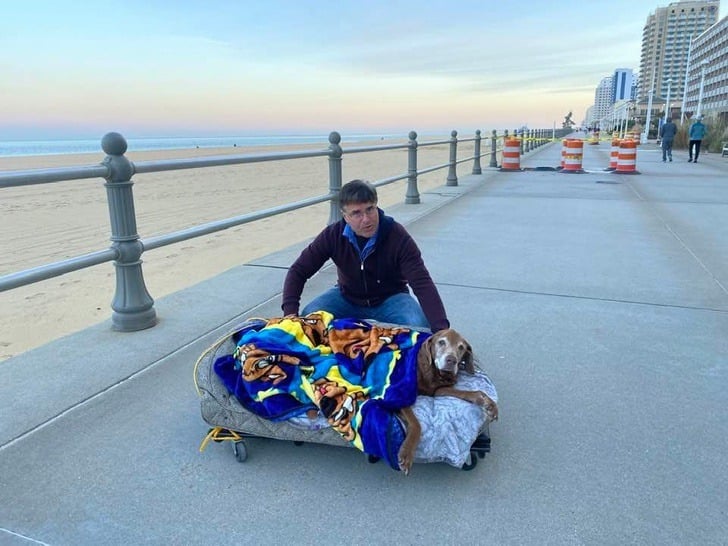 Cet Homme Crée un Lit à Roulettes pour sa Chienne Âgée afin qu’elle Puisse Profiter de la Plage