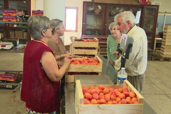 En deux jours, une exploitante agricole a écoulé 5 tonnes d’abricots refusés par les grandes surfaces