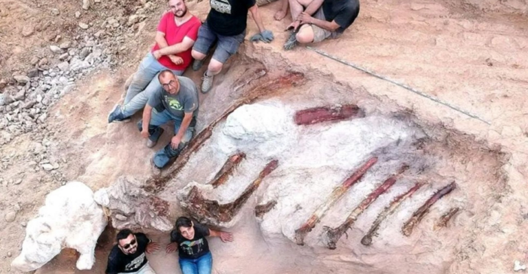 VIDÉO, un homme découvre un squelette de dinosaure dans son jardin