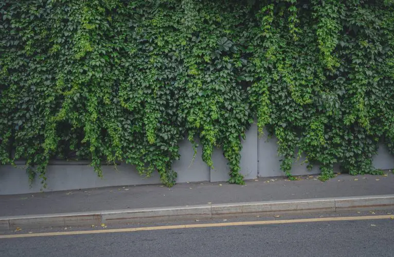 Trottoir devant une maison : à qui appartient-il ?