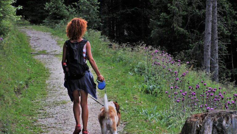 Pourquoi promener votre chien sans laisse en forêt, vous risquez une lourde amende